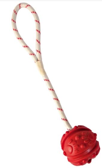 Aqua Toy balle sur corde et flottante pour chien TRIXIE