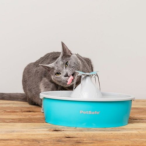 Drinkwell petsafe deals