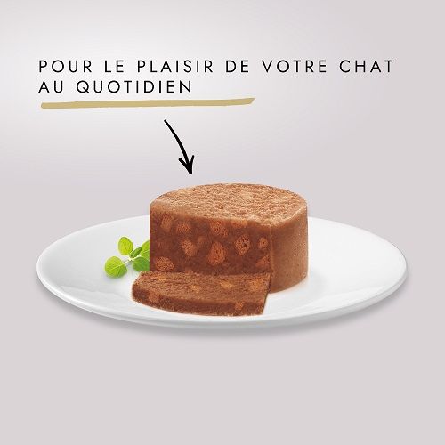 PURINA GOURMET GOLD Les terrines aux legumes Patee pour chat