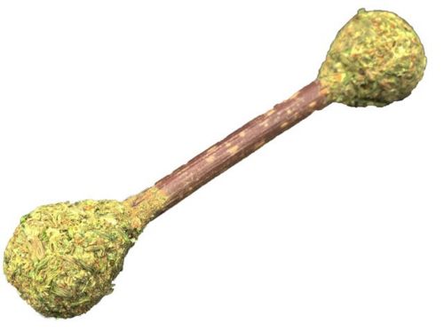 Haltere matatabi et herbe à chat WOUAPY