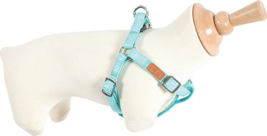 Harnais réglable Imao Picca turquoise pour chien ZOLUX