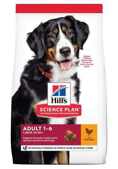 HILL’S SCIENCE PLAN Croquettes chien Adult Large Breed Poulet 