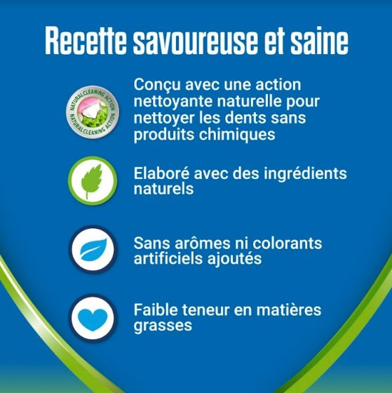 PURINA DENTALIFE ACTIVFRESH Friandises bucco-dentaire 4 Bâtonnets à mâcher pour grand chien