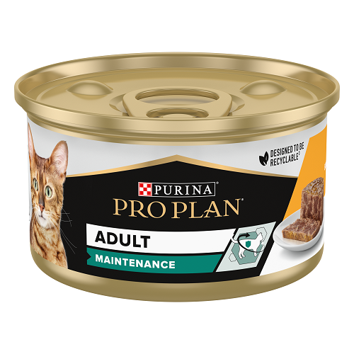 https://www.terranimo.fr/media/catalog/product/cache/089e25cb47e64bb6a39c1827bcaae164/p/r/proplan_terrine_patee_poulet_chat_4883.png