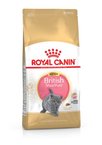 ROYAL CANIN Croquettes chaton British Shorthair Kitten