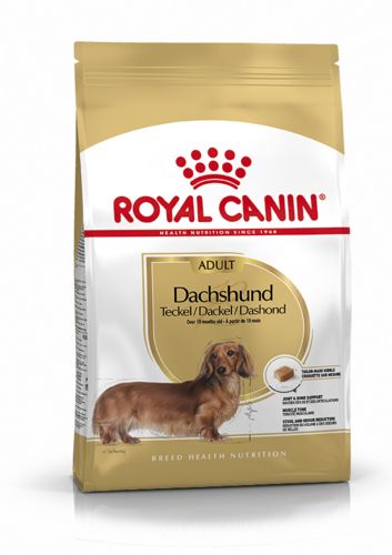 ROYAL CANIN  Croquettes chien Teckel Adult