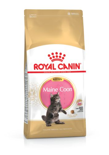 ROYAL CANIN Croquette Chaton Maine Coon Kitten
