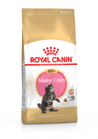 ROYAL CANIN Croquette Chaton Maine Coon Kitten