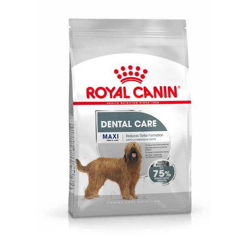 ROYAL CANIN Croquettes pour chiens Maxi Dental Care 
