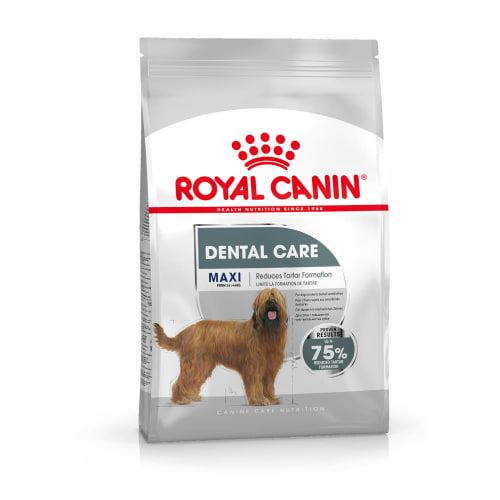 ROYAL CANIN Croquettes pour chiens Maxi Dental Care