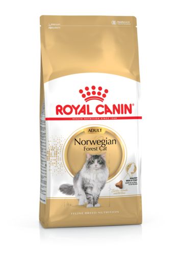 ROYAL CANIN Croquettes chat CANIN Norwegian Forest Cat