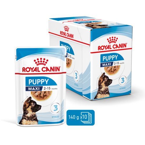 ROYAL CANIN PUPPY MAXI Bouchées en sauce pour grand chien