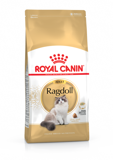 ROYAL CANIN  Croquettes chat Ragdoll adult