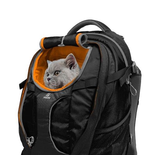 Kurgo G-Train - sac à dos pour chien