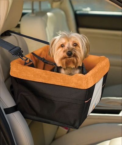 Siège rehausseur de voiture pour petit chien ou chat - Avec accoudoir de  voiture - Avec laisse de