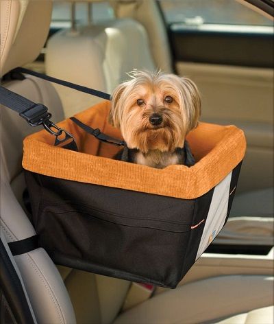 Siège de Voiture pour Chiens de Petite Taille siège rehausseur de Voiture  Amovible et Lavable pour Petits Animaux jusqu'à 6,1 kg, Console Centrale  siège de Voiture pour Voiture Maison Voyage : 