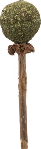 Sucette au matatabi pour chat TRIXIE