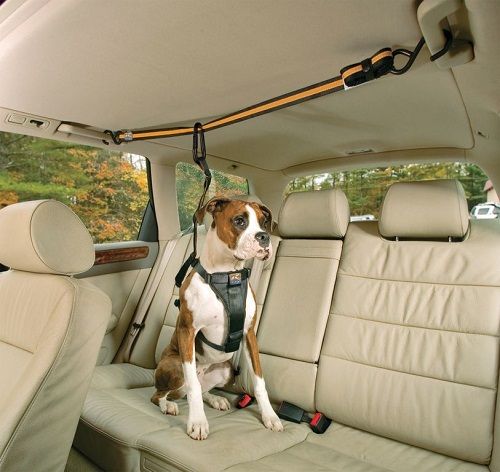 Panier pour chien pour la voiture sécurisé et confortable par