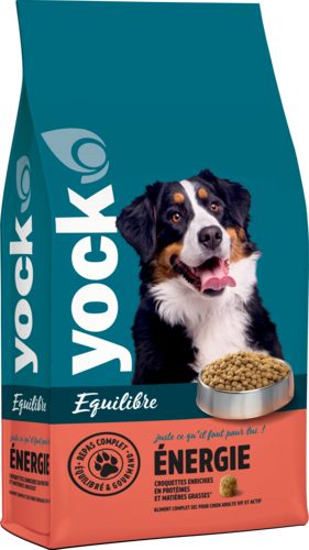 YOCK EQUILIBRE Croquette chien Energie