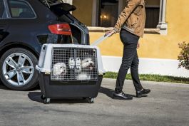 Caisse de transport chat pour un trajet sécurisé - Wanimo