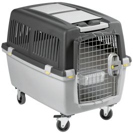Caisse de transport pour chien - Accessoires transport chien