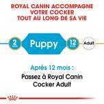 ROYAL CANIN Croquettes Chiot Cocker Junior