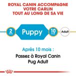 ROYAL CANIN Croquettes Chiot Pug Junior