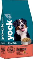 YOCK EQUILIBRE Croquette chien Energie