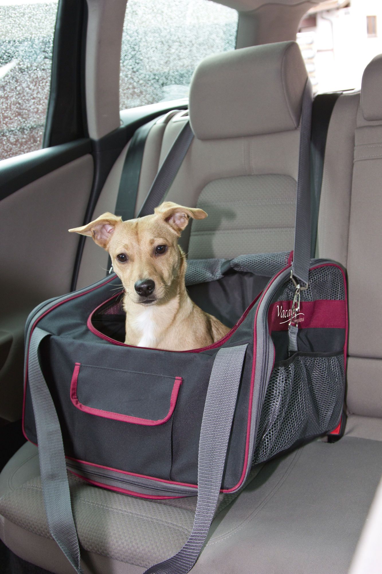 Sac de transport pliable pour chat et petit chien Vacation KERBL