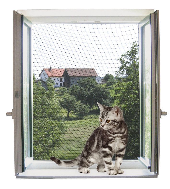 Filet de protection pour chat pour fenêtre • PROTECTION CHAT