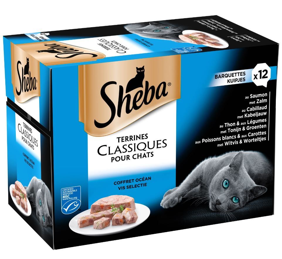 Coffret Océan En Terrine 12 x 85g, Classiques Pour Chats