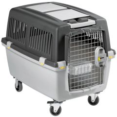 Cage transport chien : Caisses de transport pour Chien