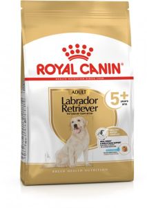 ROYAL CANIN Croquettes chien Labrador Adult 5+ 