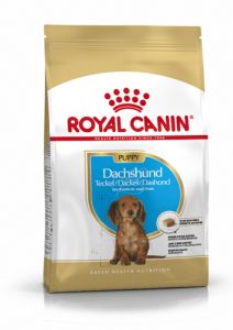 ROYAL CANIN Croquettes chiot Dachshund Race Teckel Junior