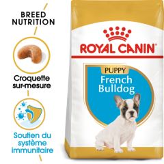 ROYAL CANIN Croquettes chien French Bulldog Junior