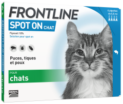 Pipettes anti-puces et anti-tiques SPOT-ON CHAT FRONTLINE