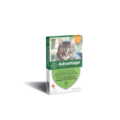 Pipettes anti puces pour les chats de -4 kilos  BAYER ADVANTAGE 40