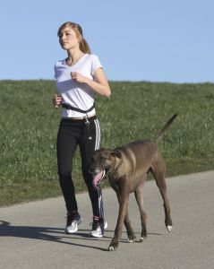 Laisse de jogging noire avec ceinture Active pour chien KERBL