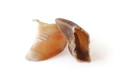 BUBIMEX Sabot de veau