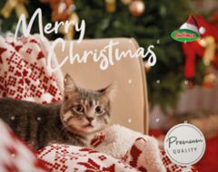 XMAS Calendrier de l'Avent à la viande pour Chat BUBIMEX