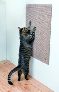 Griffoir à poser ou à suspendre 50 x 70 cm pour chat TRIXIE