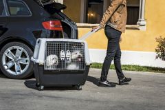 cage dibaro pour transport de chien en voiture. Accessoires pour le  transport des chiens : Morin France