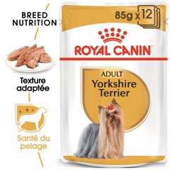 ROYAL CANIN Yorkshire Terrier. Croquettes chien Yorkshire +10 mois