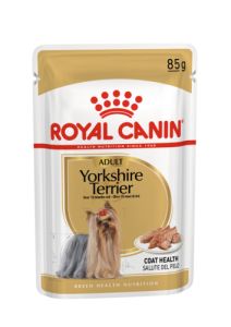 ROYAL CANIN Yorkshire Terrier.