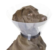 Collerette pour chien transparente à clipser  KERBL