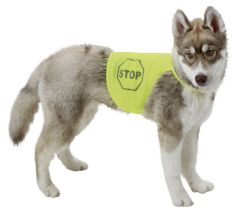 Gilet de sécurité jaune fluorescent pour chien  KERBL
