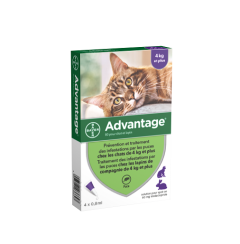 Pipettes anti puces pour les chats de +4 kilos  BAYER ADVANTAGE 80