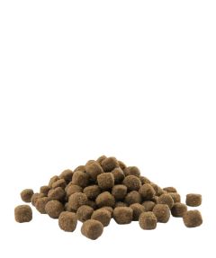 VERSELE LAGA Opti Life Adult Medium croquettes pour chien 12,5 kg