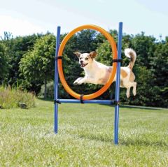 Anneau Fun Agility pour chien TRIXIE