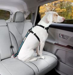Attache de Sécurité Direct To Seatbelt Bleu pour chien en voiture KURGO